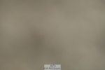 230630A-144614-03049