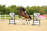 SBM_000988