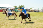 SBM_17203