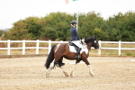 SBM_001479