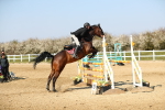 SBM_001148