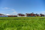 120826-Race 3-Sir David-6363