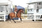 SBM_16844