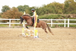 SBM_007533