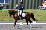 SIAL0368