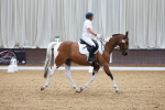 SBM_000729