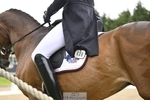 408-HICKSTEAD_MUSTERD-Jesse_Campbell portfolio