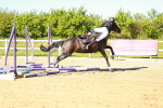 SBM_002106
