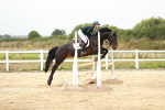 SBM_005441