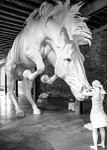 Venice incl Biennale-16