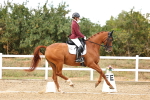 SBM_007664