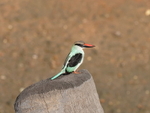 P1088159
