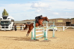 SBM_002196