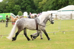 SBM_00649