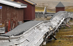 Coal conveyor Ny Alesund