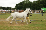 SBM_04260