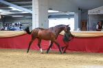 SBM_04097