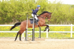 SBM_003951