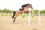 SBM_002968