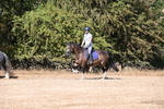 WJ6_7810