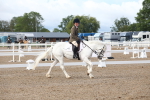 SBM_00220