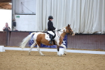 SBM_001492