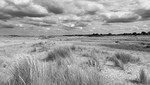 Norfolk iPhone - 33