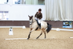 SBM_000240