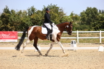 SBM_010533