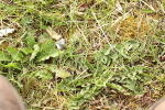 SBM_002235