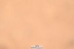 260426-140618-19752