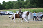 WJ7_5220