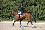 175-MONBEG_EQUITY-Tom_McEwen-WEDTrotUp+DR portfolio