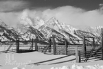 Vintage Teton Loading Corral BW2
