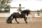 SBM_00629