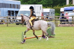 SBM_08595
