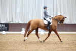 SBM_007976