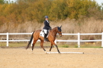 SBM_010583