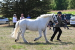 WJ6_4912