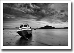 Shadowing ♦ ALNMOUTH