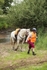 Thetford Endurance 2025 portfolio