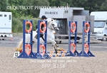 BPP_8158