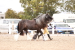 SBM_16289