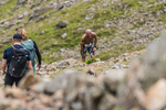 Borrowdale-54