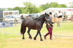 SBM_00380