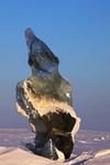 Ice Troll 5748