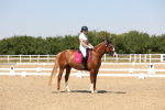 SBM_005033