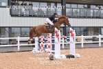BPP_3006