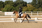 SBM_007029
