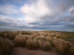 Windswept - Holkham Beach